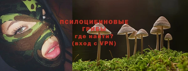 альфа пвп Белокуриха