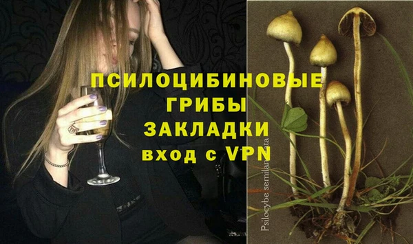 альфа пвп Белокуриха