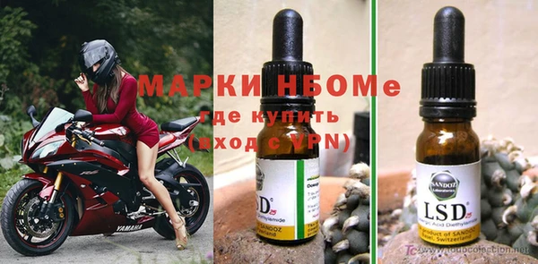 прущие крисы Инта