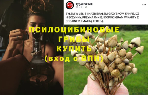 Альфа ПВП Белоозёрский