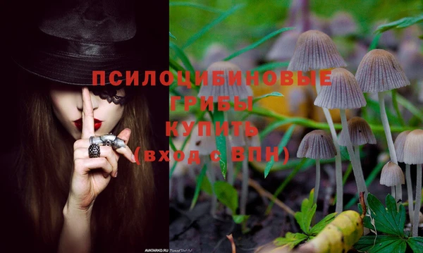 мяу мяу мука Беломорск
