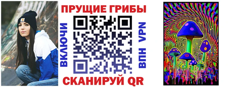 дарнет шоп  Оха  mega ССЫЛКА  Галлюциногенные грибы MAGIC MUSHROOMS 
